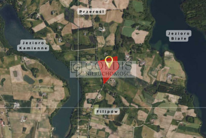 Działka Sprzedaż Filipów Drugi
